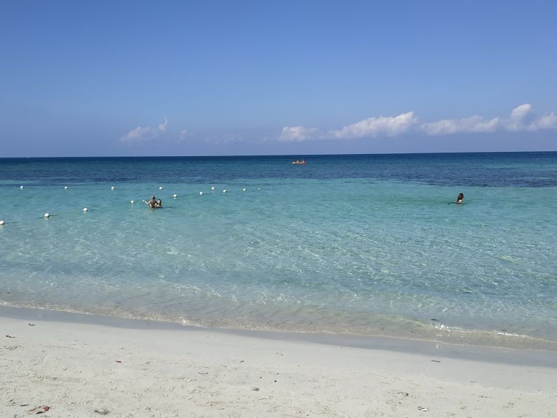 IMG_20190209_101028.jpg