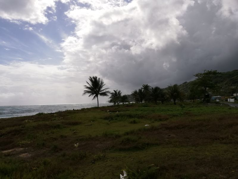 IMG_20190214_095326.jpg