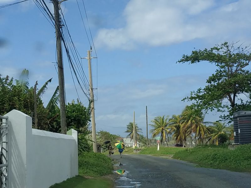 IMG_20190214_130421.jpg