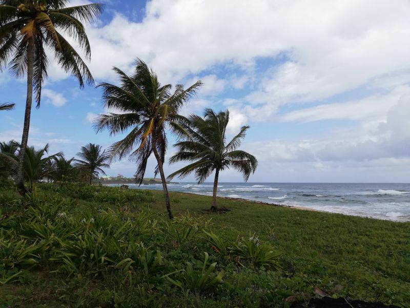 IMG_20190214_130527.jpg