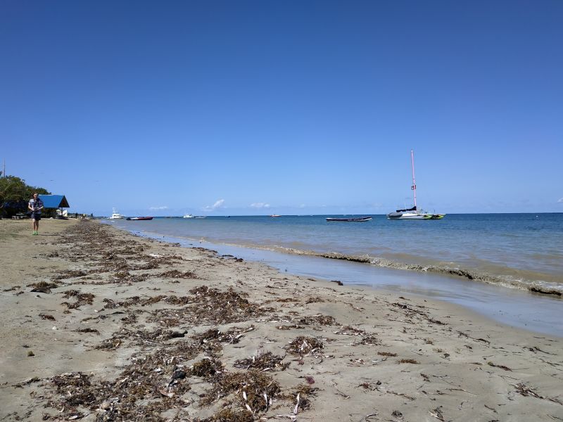 IMG_20190215_105735.jpg