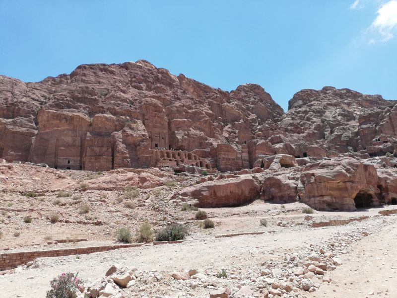 IMG_20190509_115715.jpg