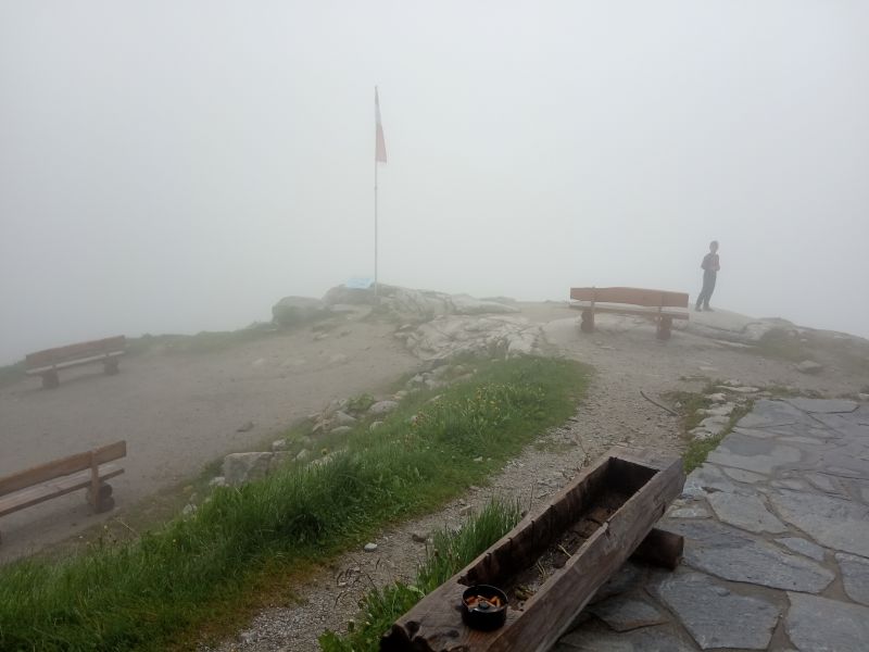 IMG_20190716_084517.jpg