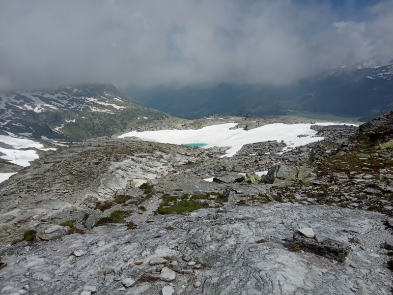 IMG_20190716_105043.jpg