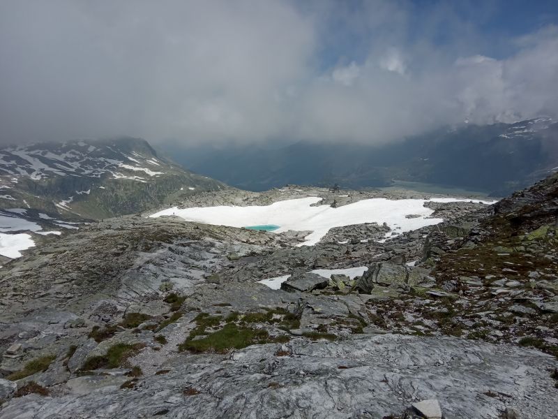 IMG_20190716_105114.jpg