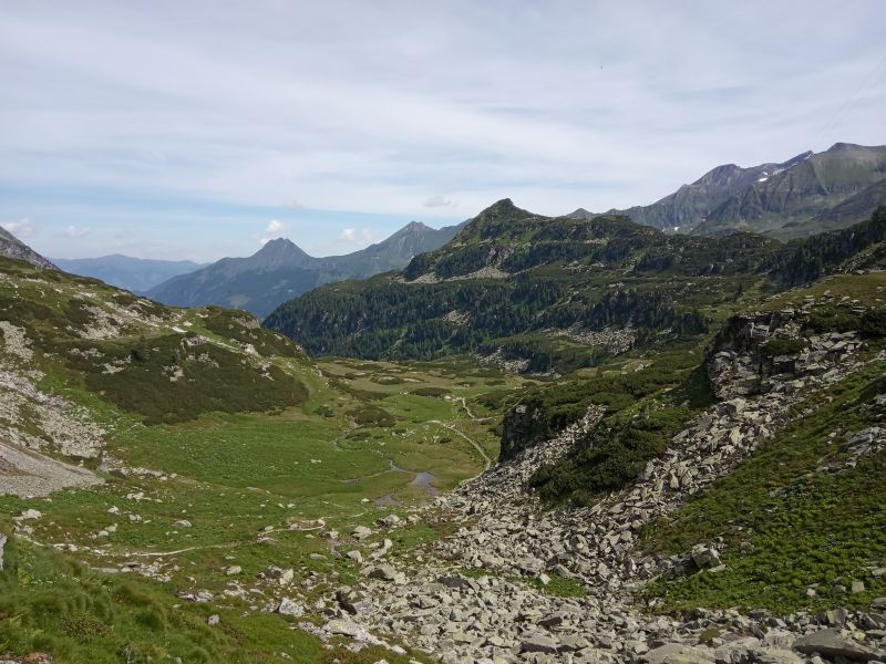IMG_20190717_104259.jpg