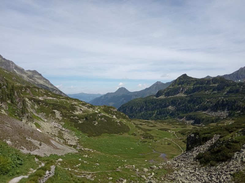IMG_20190717_104303.jpg