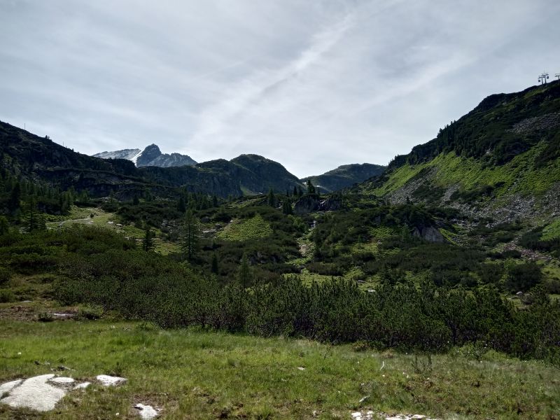 IMG_20190717_114429.jpg