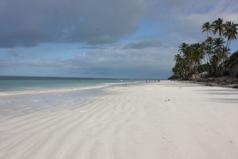 IMG_2021~1.JPG