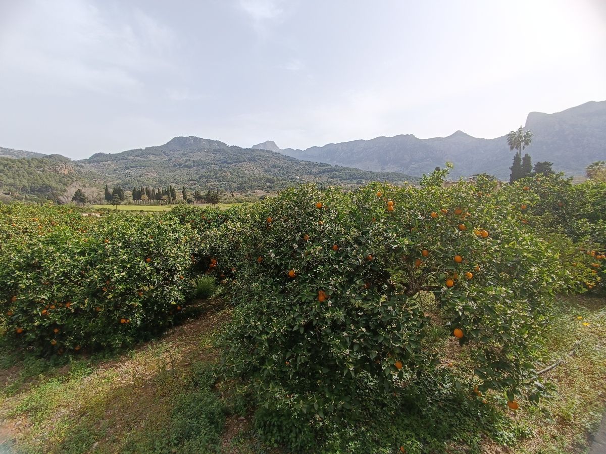 IMG_20240329_105712.jpg