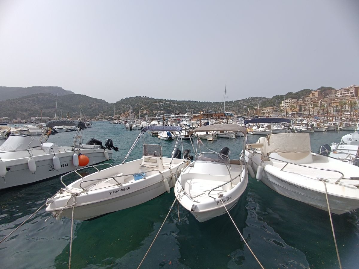IMG_20240329_121050.jpg