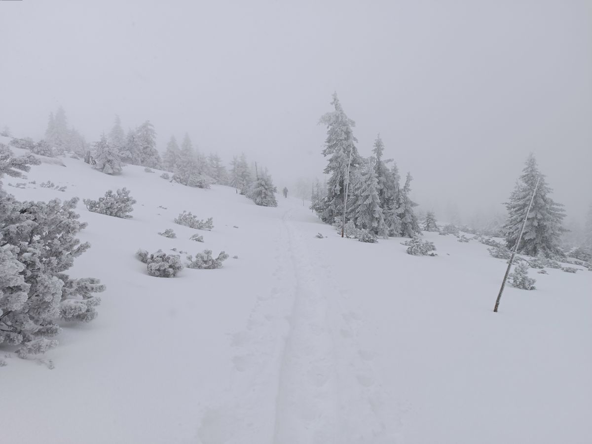IMG_20250112_200243.jpg