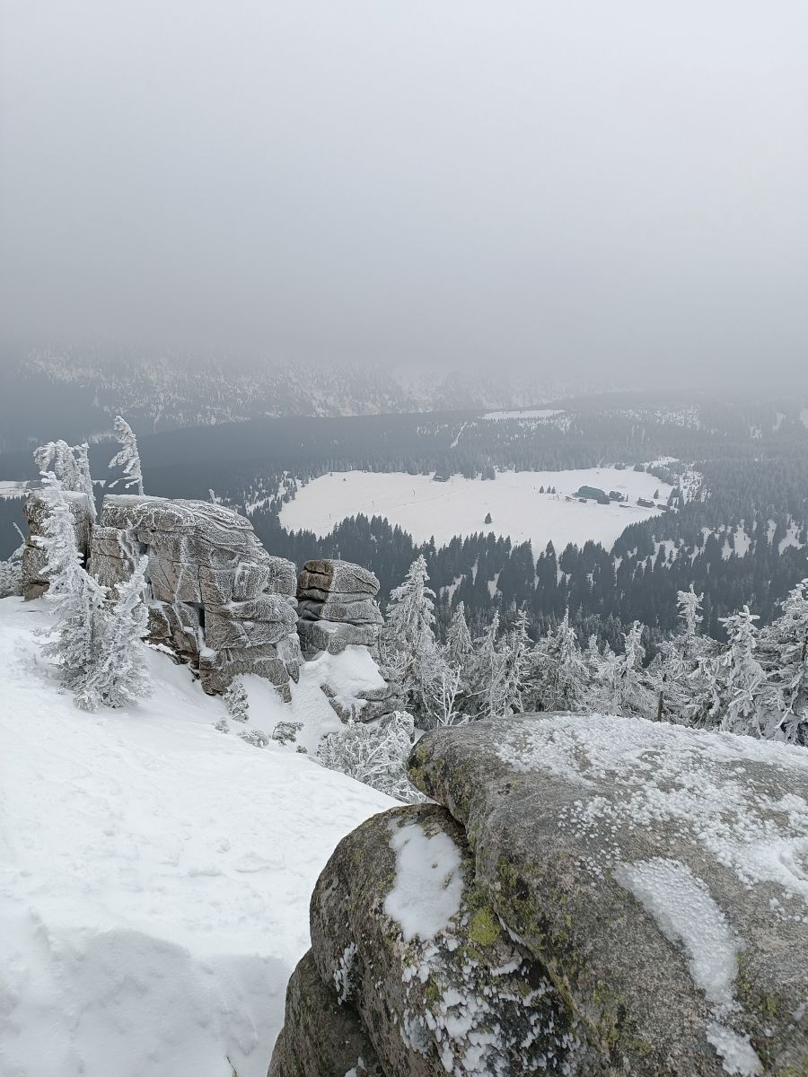 IMG_20250208_105656.jpg