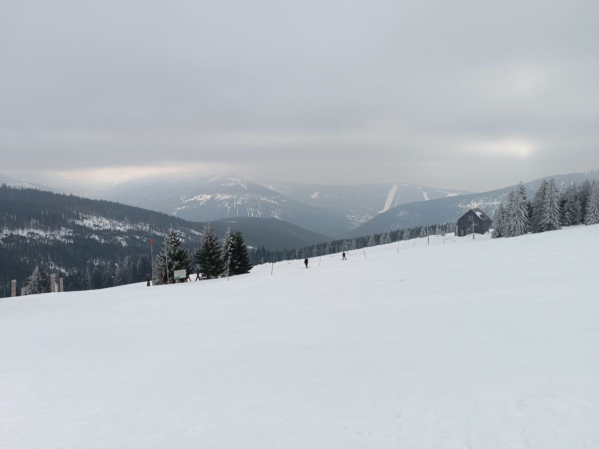 IMG_20250208_113400.jpg