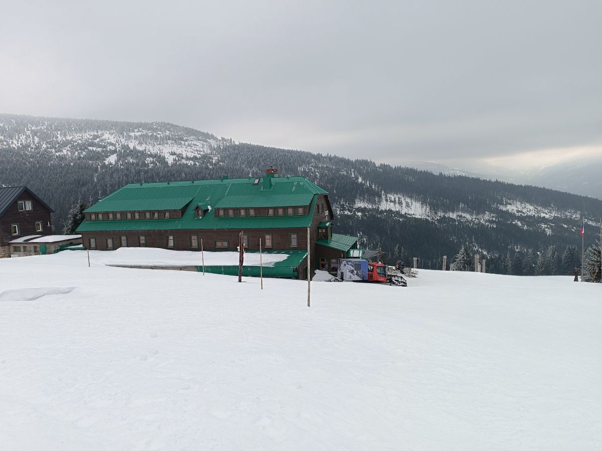 IMG_20250208_113413.jpg