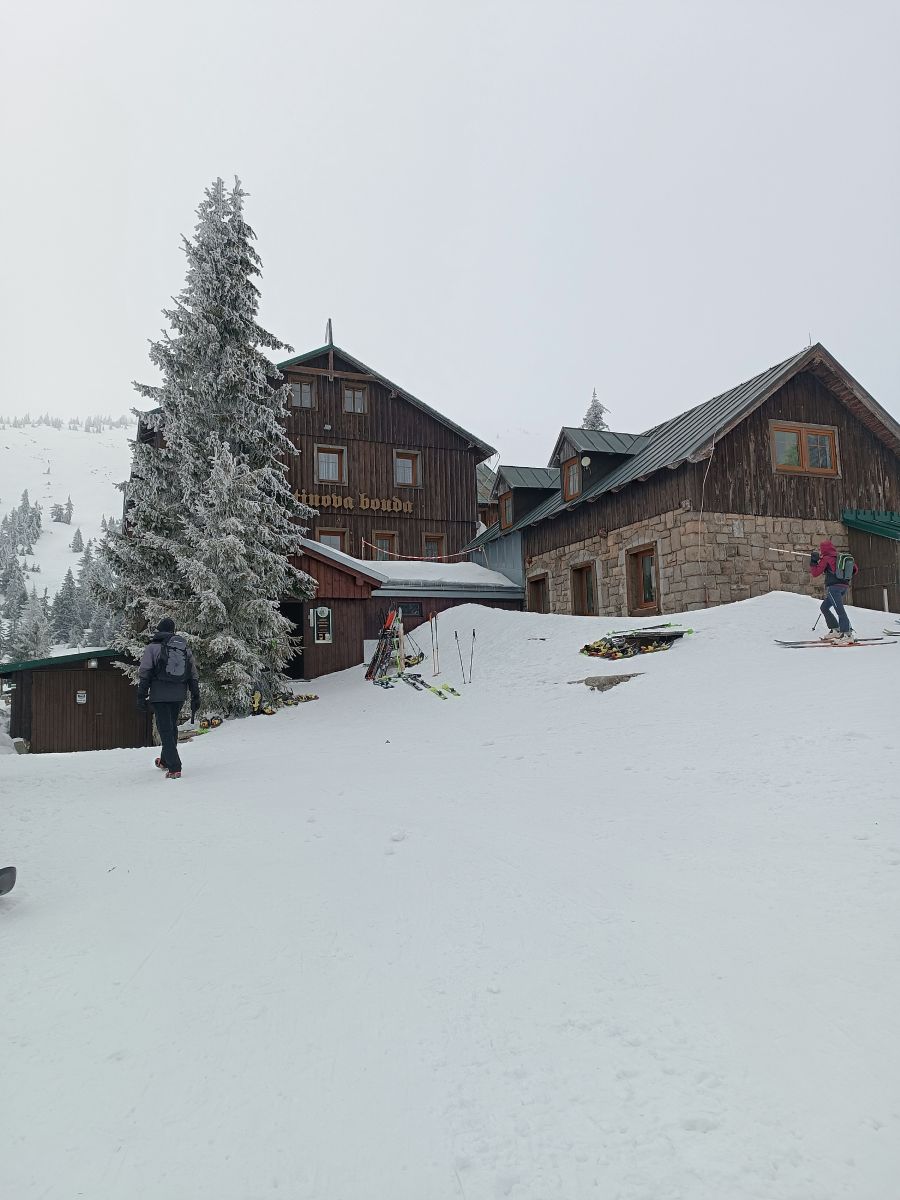 IMG_20250208_114929.jpg