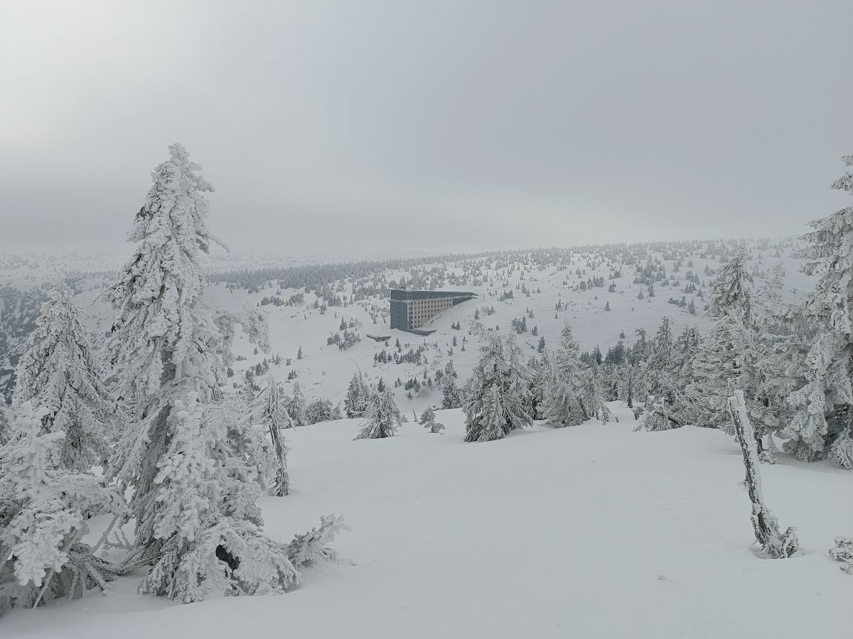 IMG_20250208_122321.jpg