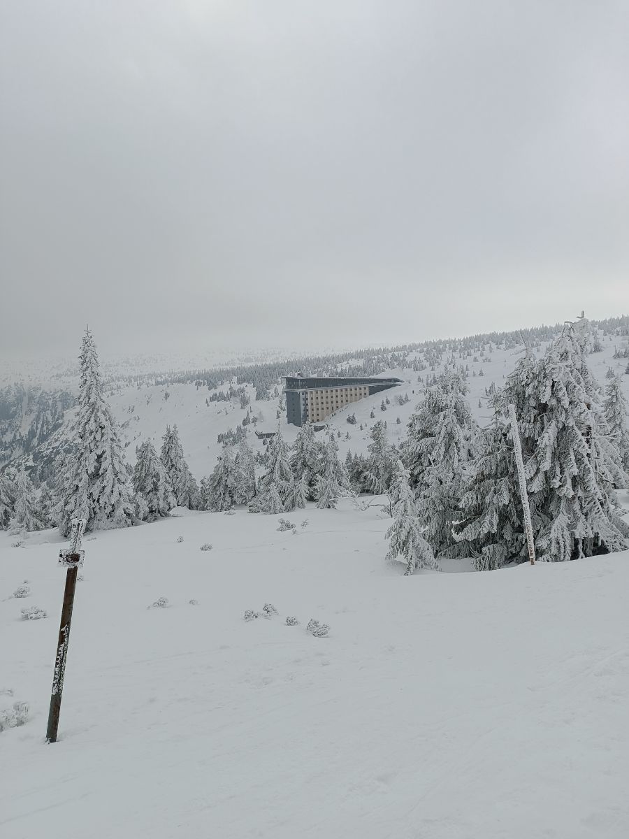 IMG_20250208_122640.jpg