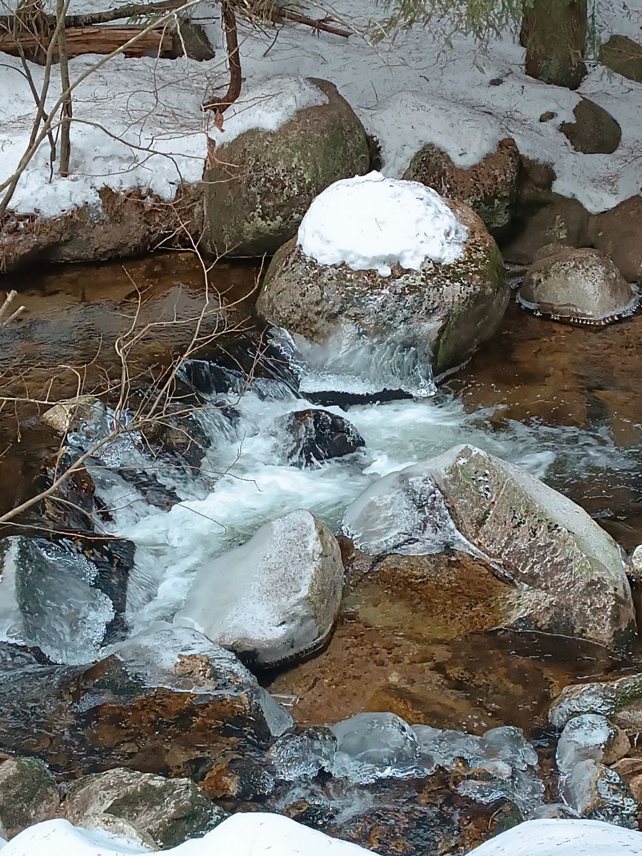 IMG_20250208_145339.jpg