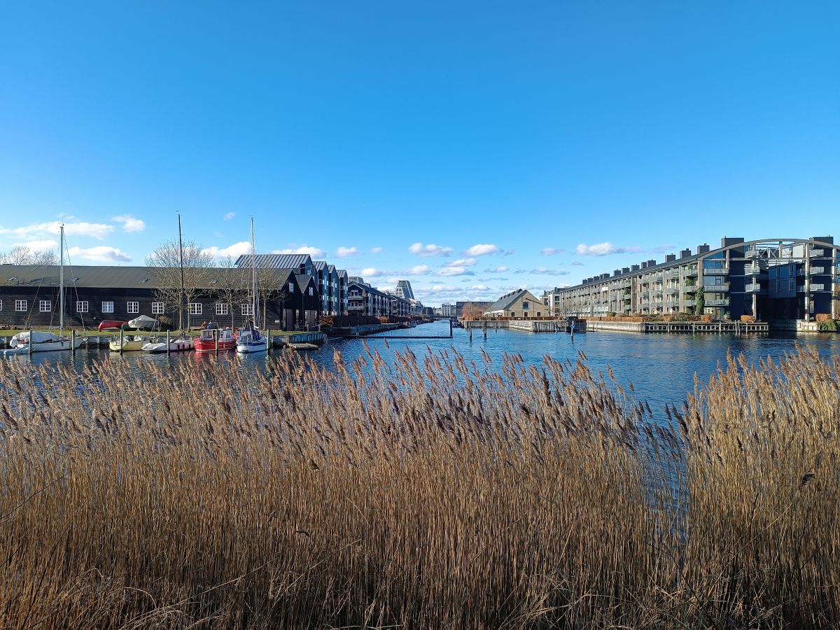 IMG_20250214_131508.jpg