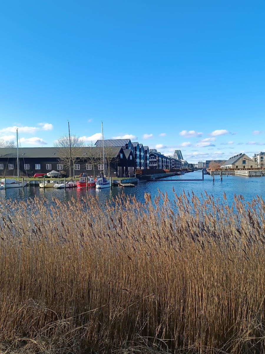IMG_20250214_131520.jpg