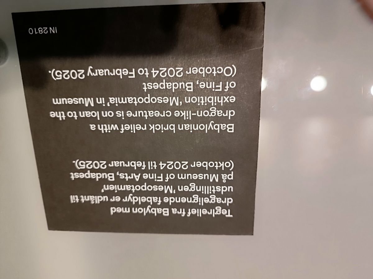IMG_20250215_114503.jpg