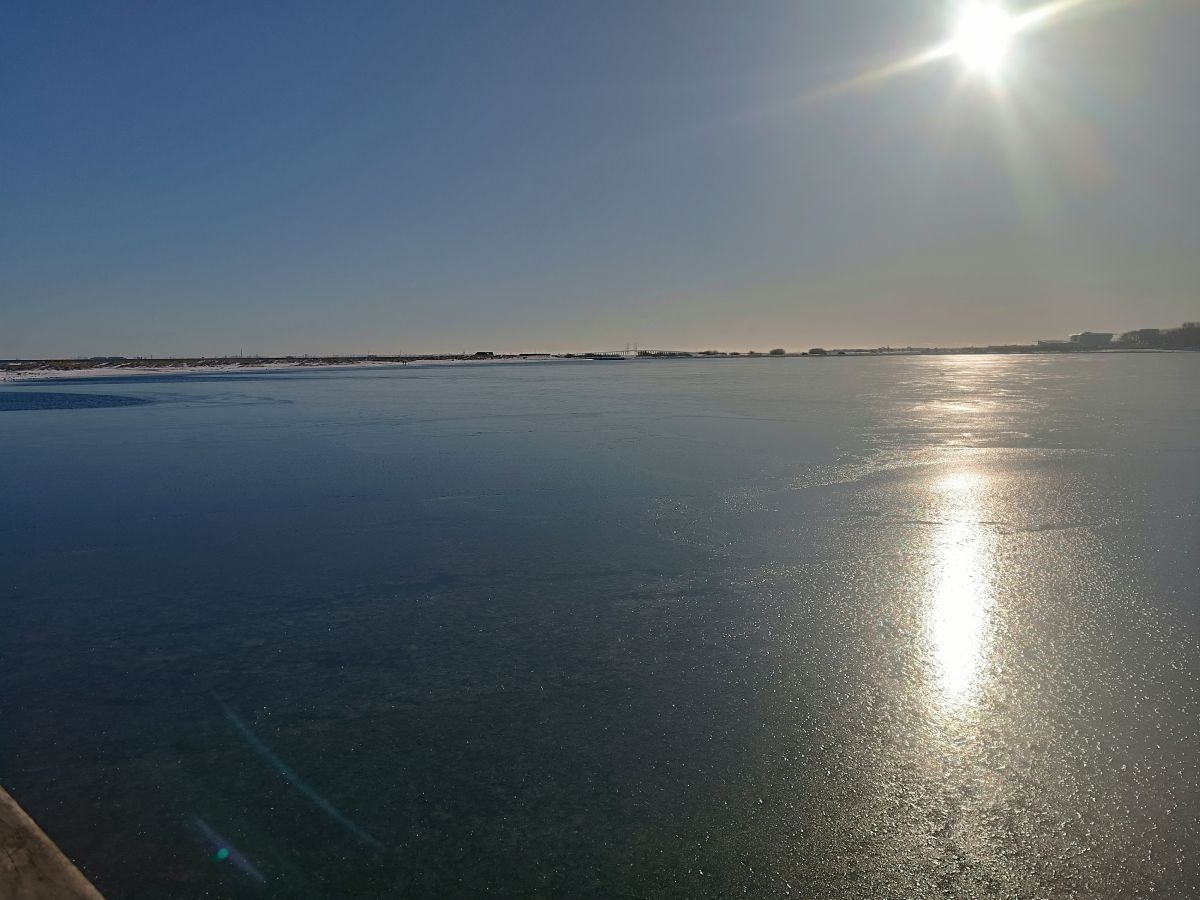IMG_20250216_102133.jpg