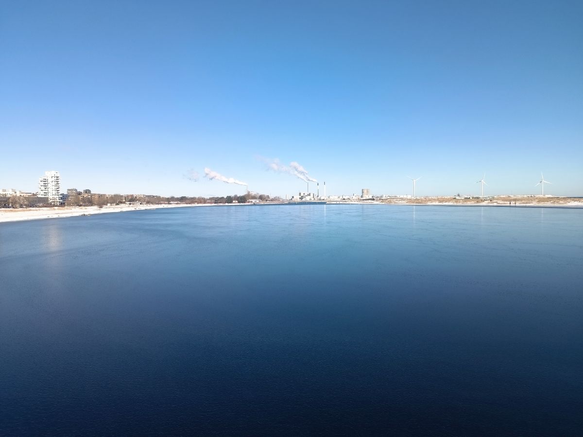 IMG_20250216_102143.jpg