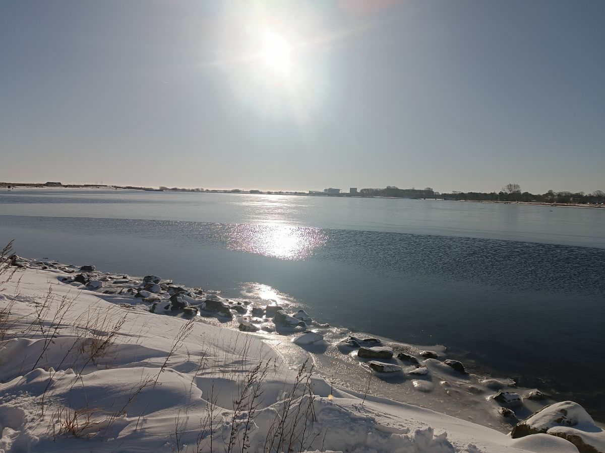IMG_20250216_102316.jpg