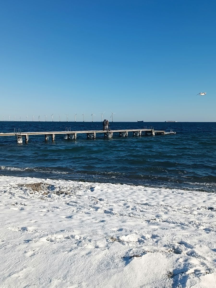 IMG_20250216_102802.jpg