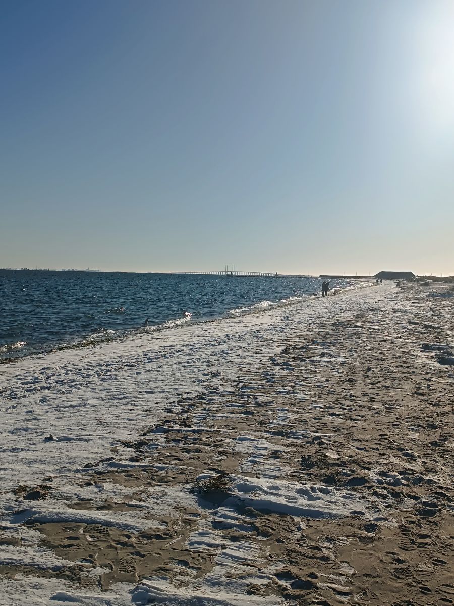 IMG_20250216_102810.jpg