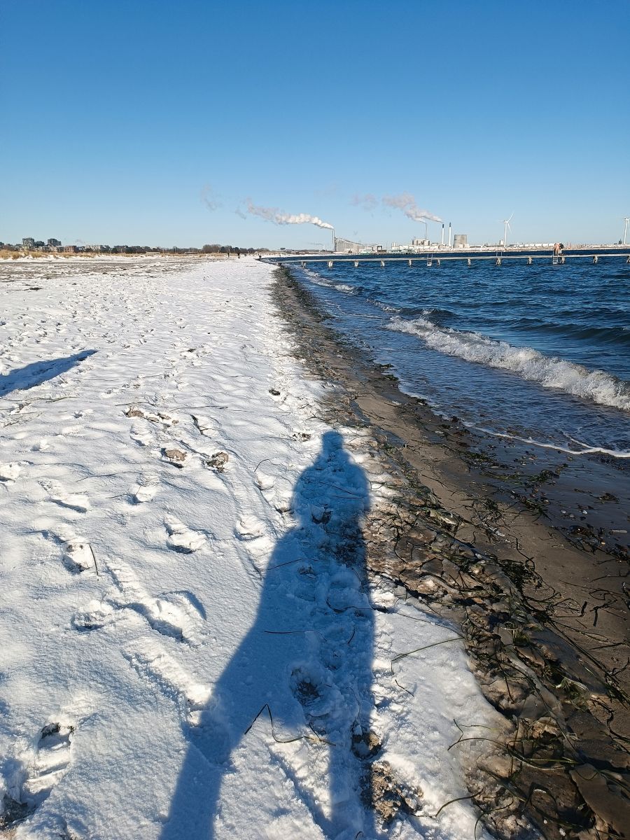 IMG_20250216_103043.jpg