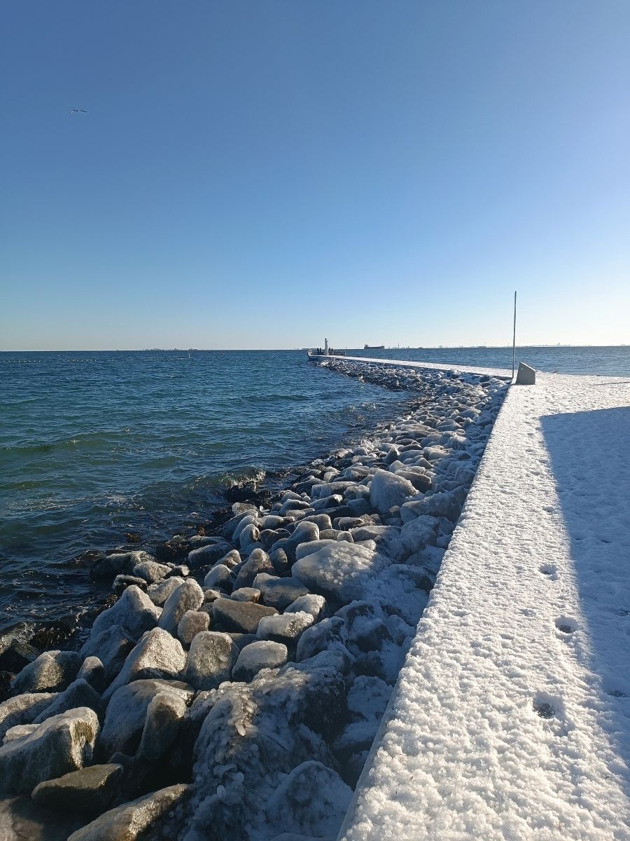 IMG_20250216_103950.jpg