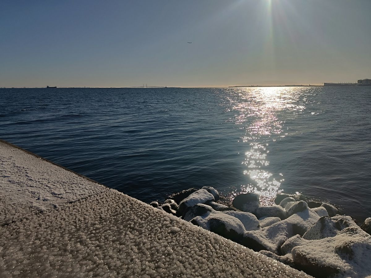 IMG_20250216_104130.jpg