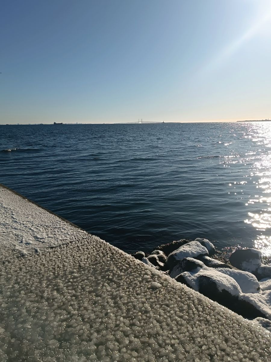 IMG_20250216_104157.jpg