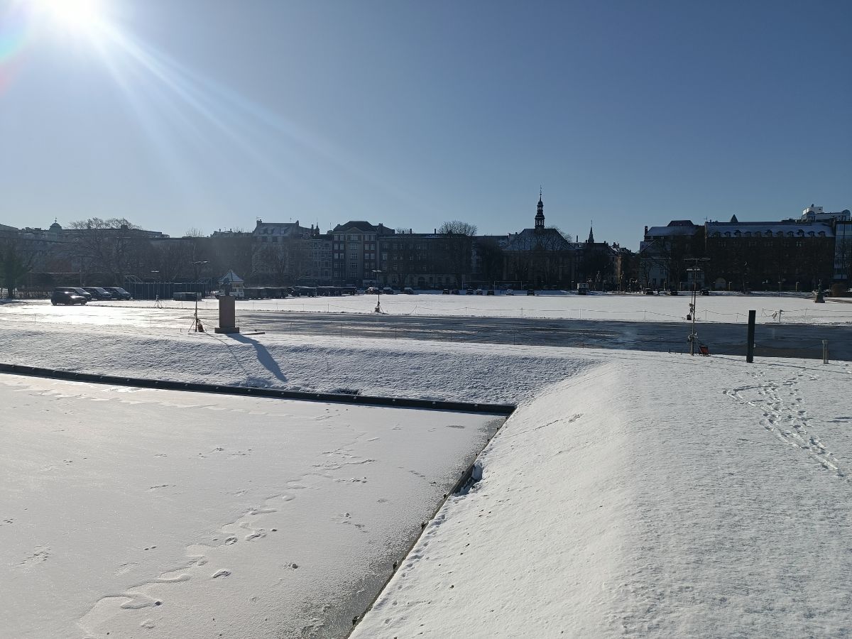 IMG_20250216_113208.jpg