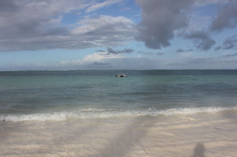 IMG_2063~0.JPG