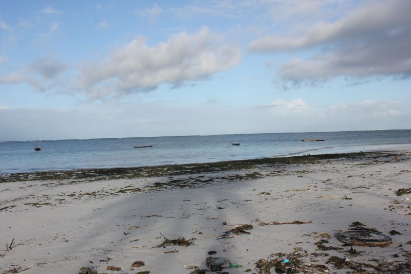 IMG_2086~0.JPG