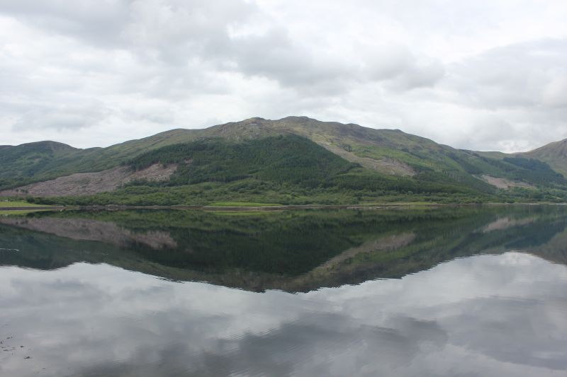 IMG_2088~0.JPG