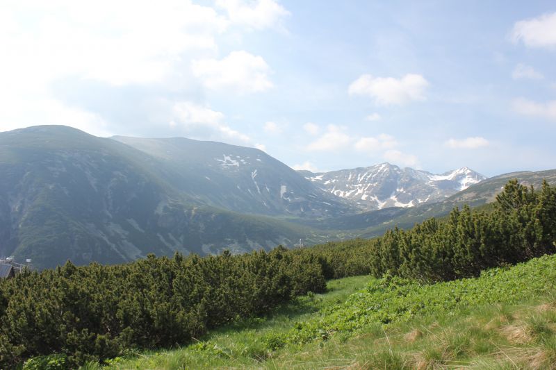 IMG_2439~1.JPG
