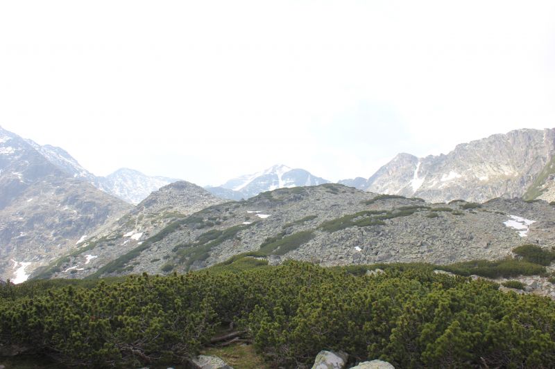 IMG_2521~1.JPG