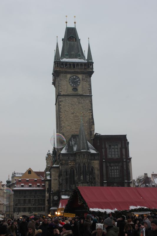 IMG_2524~0.JPG