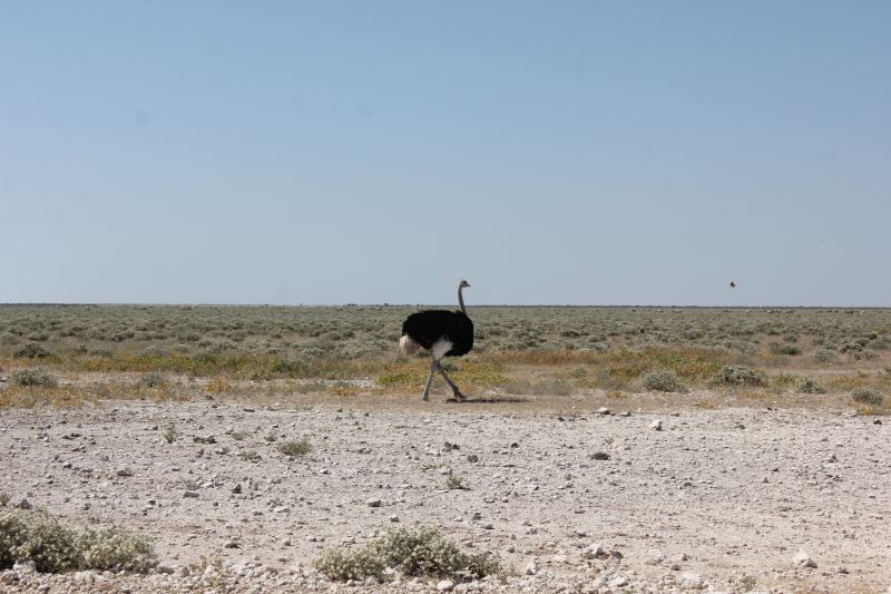 IMG_2804~2.JPG