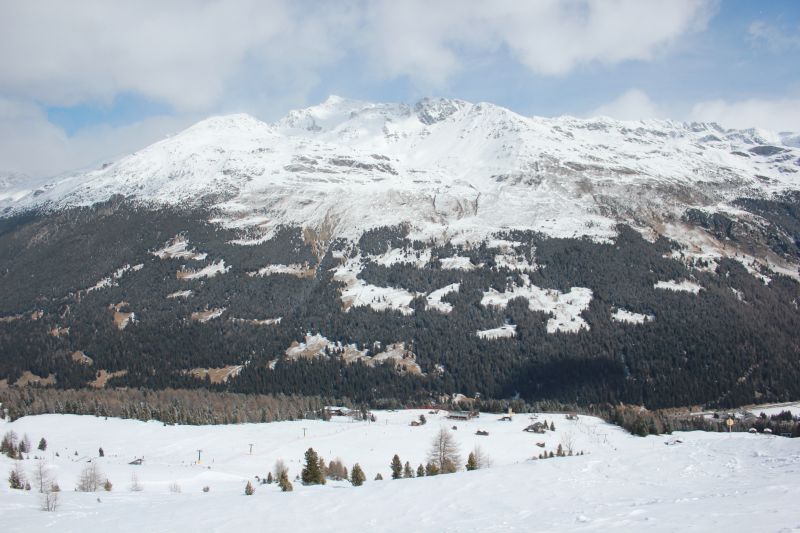 IMG_3038~0.JPG