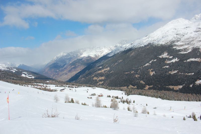 IMG_3039~0.JPG