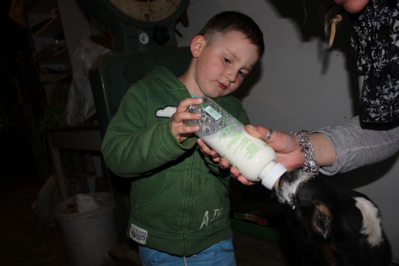 IMG_3602~0.JPG