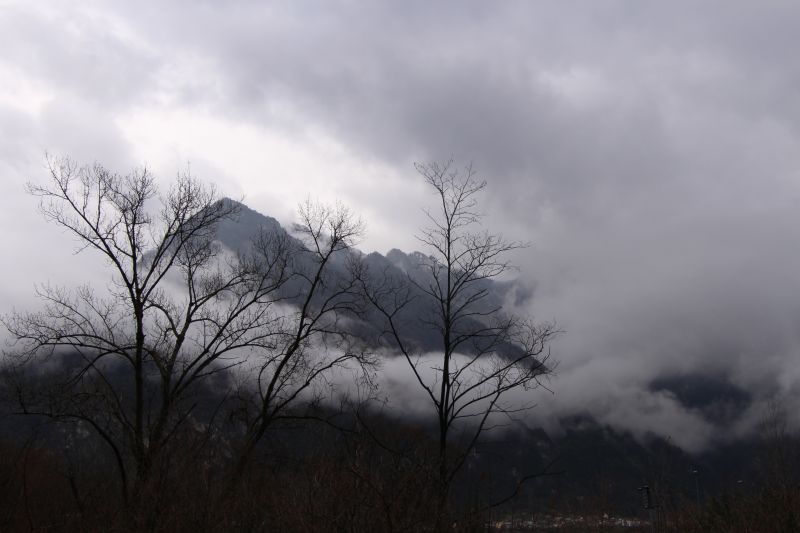 IMG_3700~2.JPG