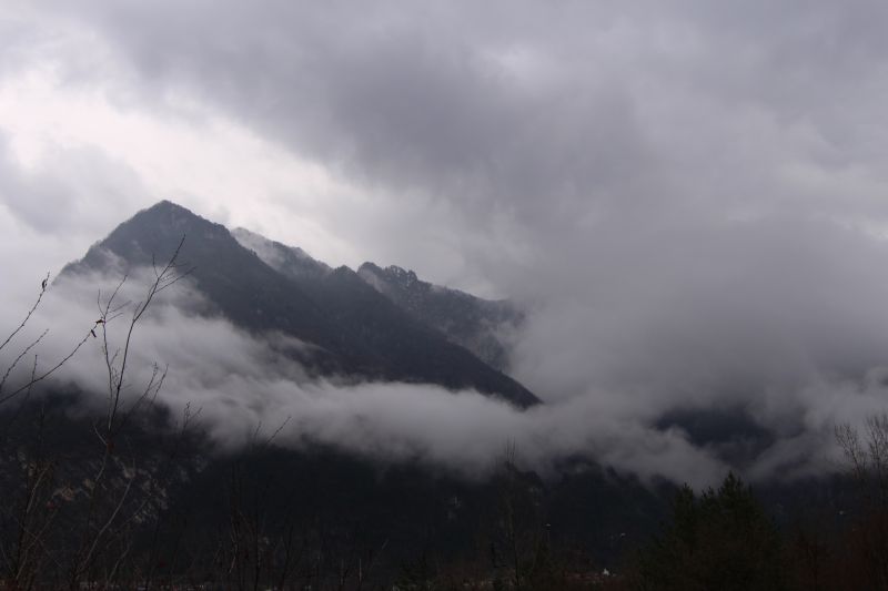 IMG_3701~0.JPG