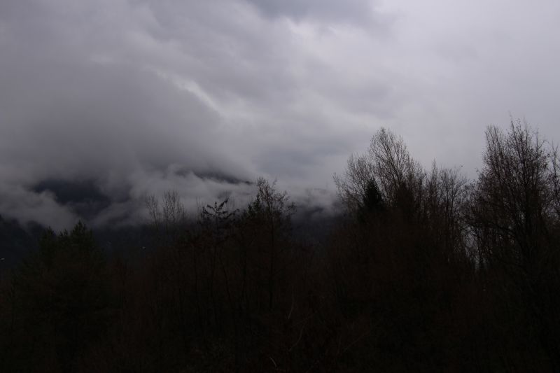 IMG_3702~2.JPG