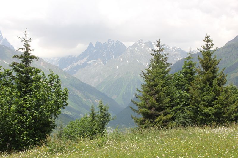IMG_4216~0.JPG
